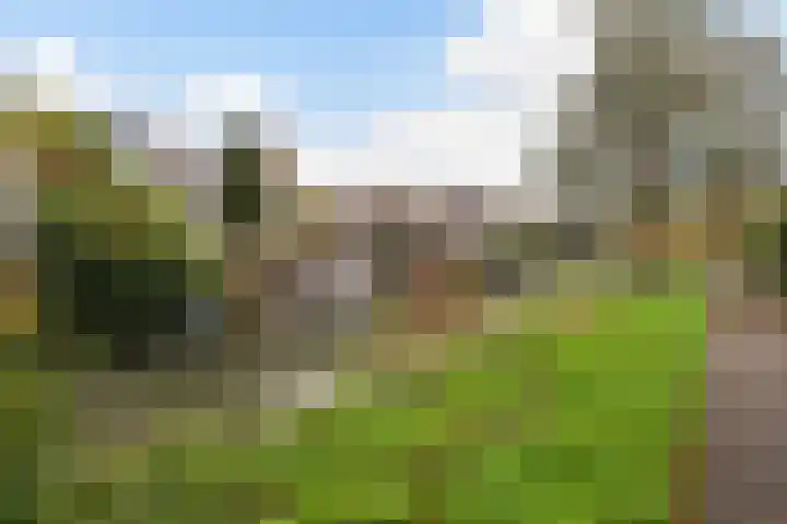 Duivenkamp 83 Maarssen thumbnail 26
