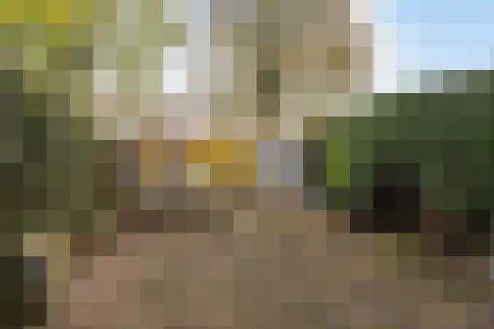 Duivenkamp 83 Maarssen thumbnail 4
