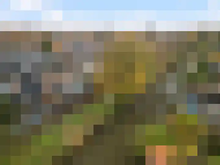 Duivenkamp 83 Maarssen thumbnail 5
