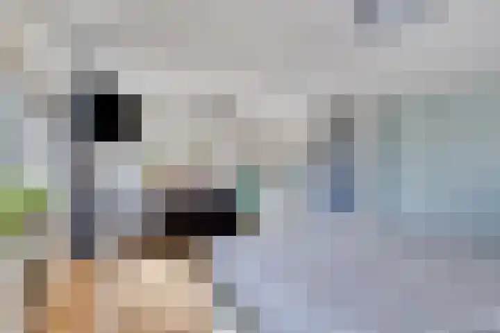 Duivenkamp 843 Maarssen thumbnail 16