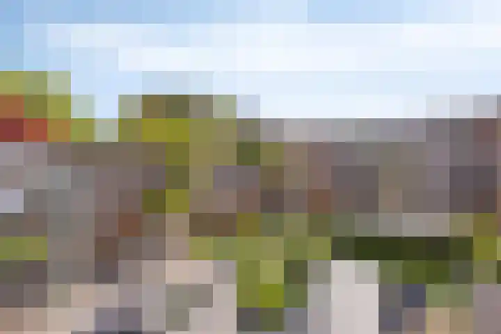 Duivenkamp 843 Maarssen thumbnail 28