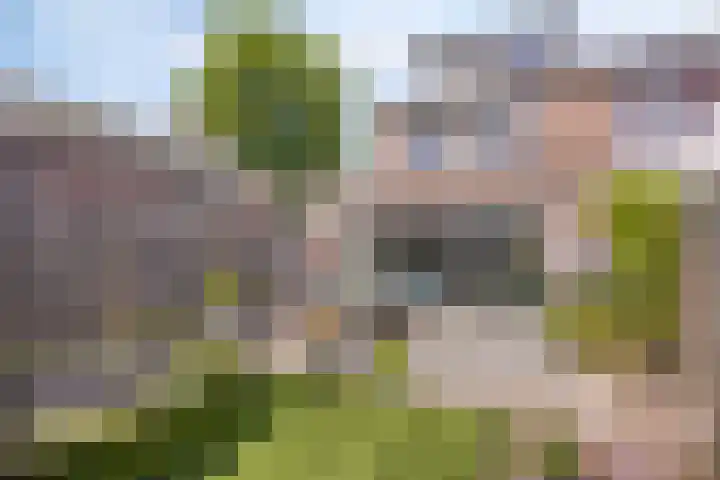 Duivenkamp 843 Maarssen thumbnail 30