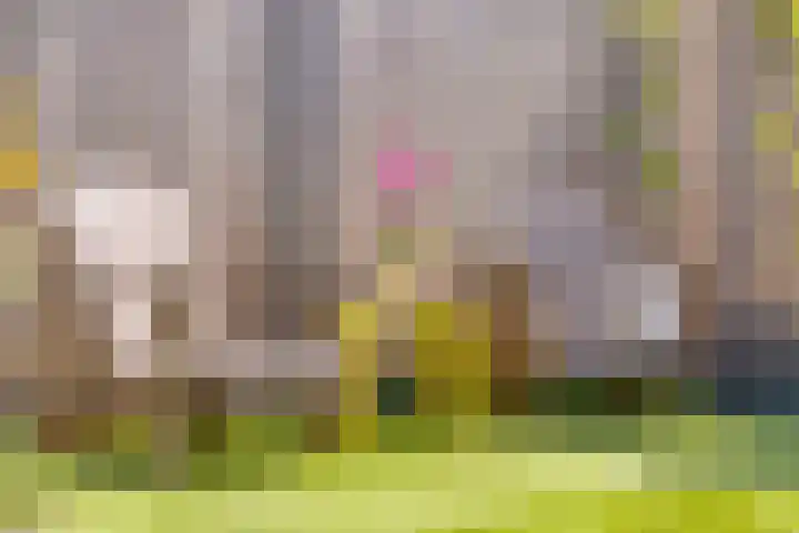 Duivenkamp 843 Maarssen thumbnail 31
