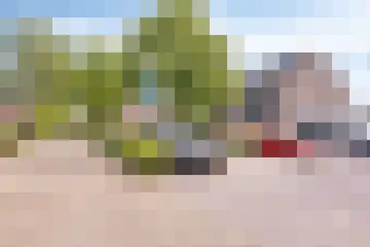 Duivenkamp 843 Maarssen thumbnail 34
