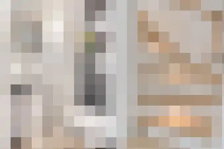 Duivenkamp 843 Maarssen thumbnail 5