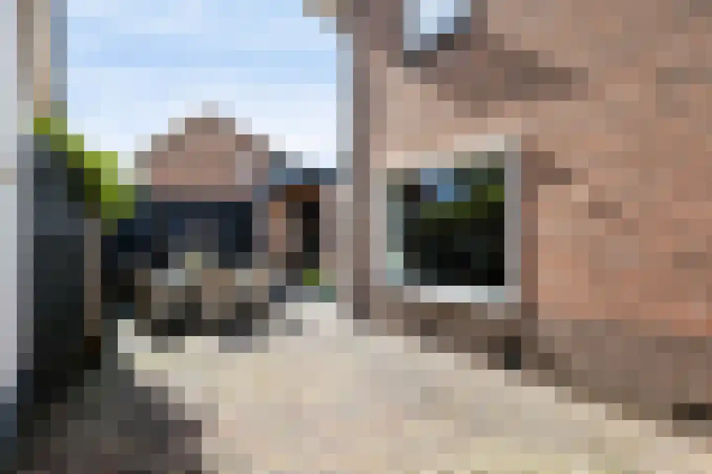 Duivenlaan 36 2 Apeldoorn thumbnail 32