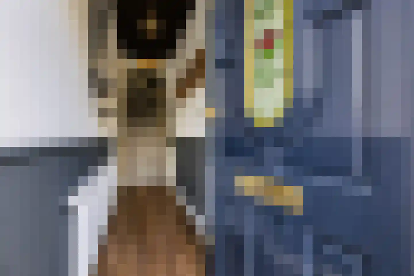 Duivenlaan 36 2 Apeldoorn thumbnail 4