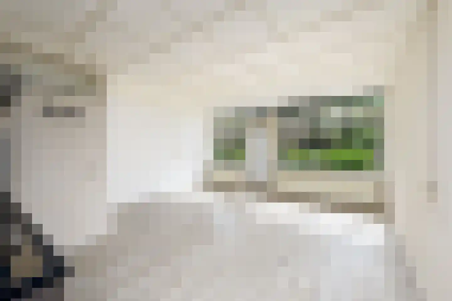 Duivenslaagte 2 021 De Bult thumbnail 5