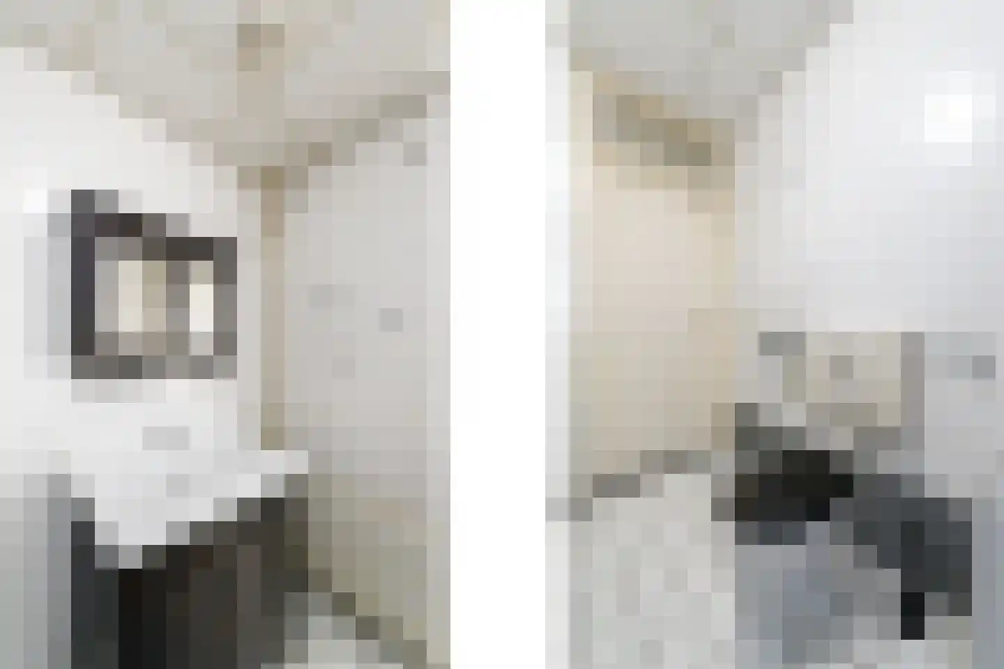 Duivenslaagte 2 021 De Bult thumbnail 8