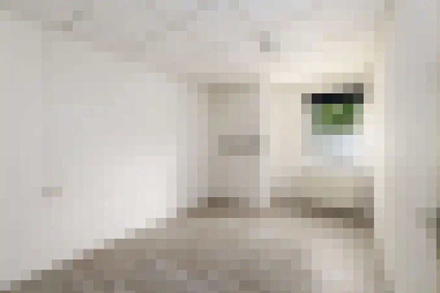 Duivenslaagte 2 021 De Bult thumbnail 9