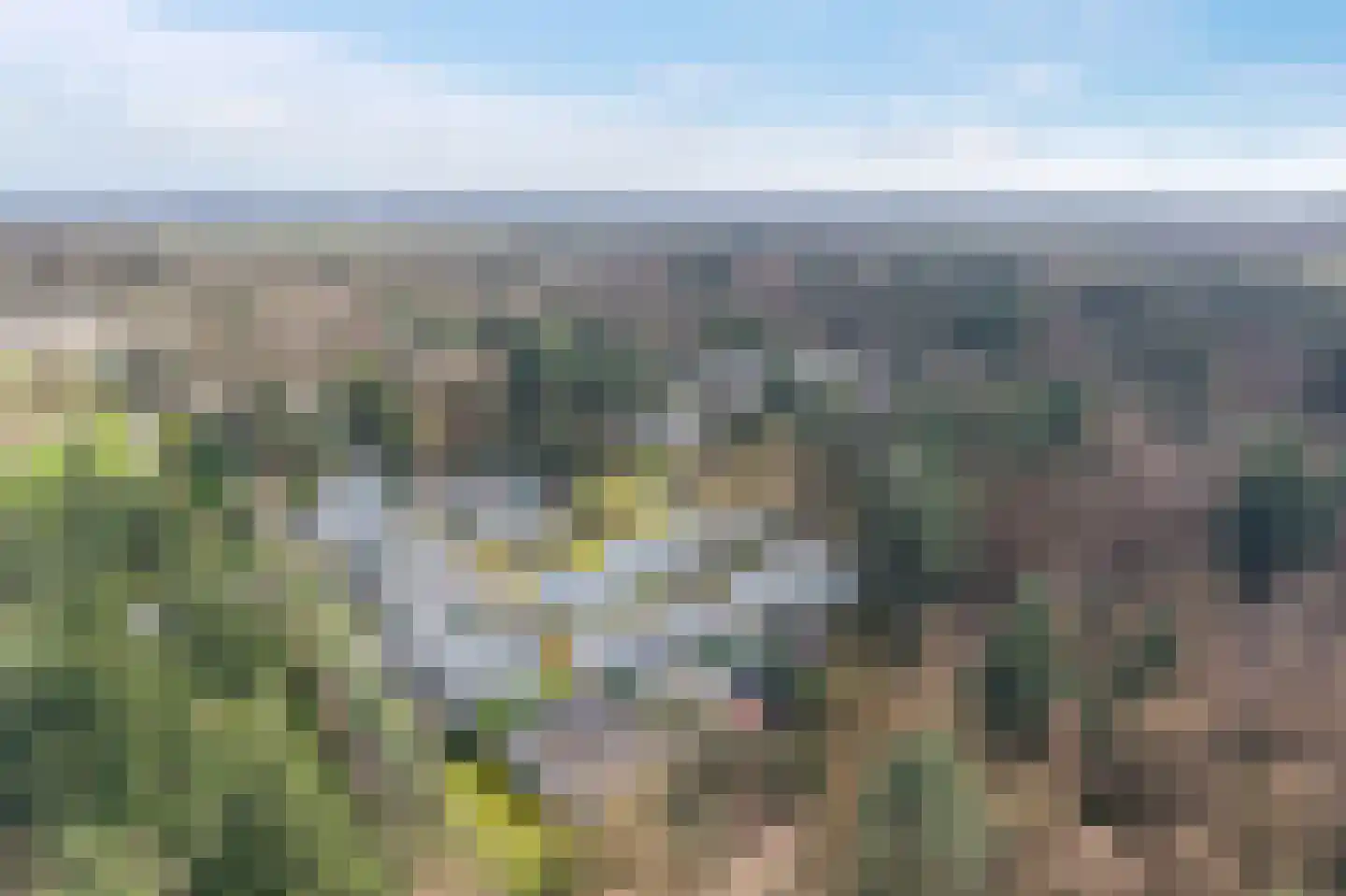 Duivenslaagte 2 051 De Bult thumbnail 26