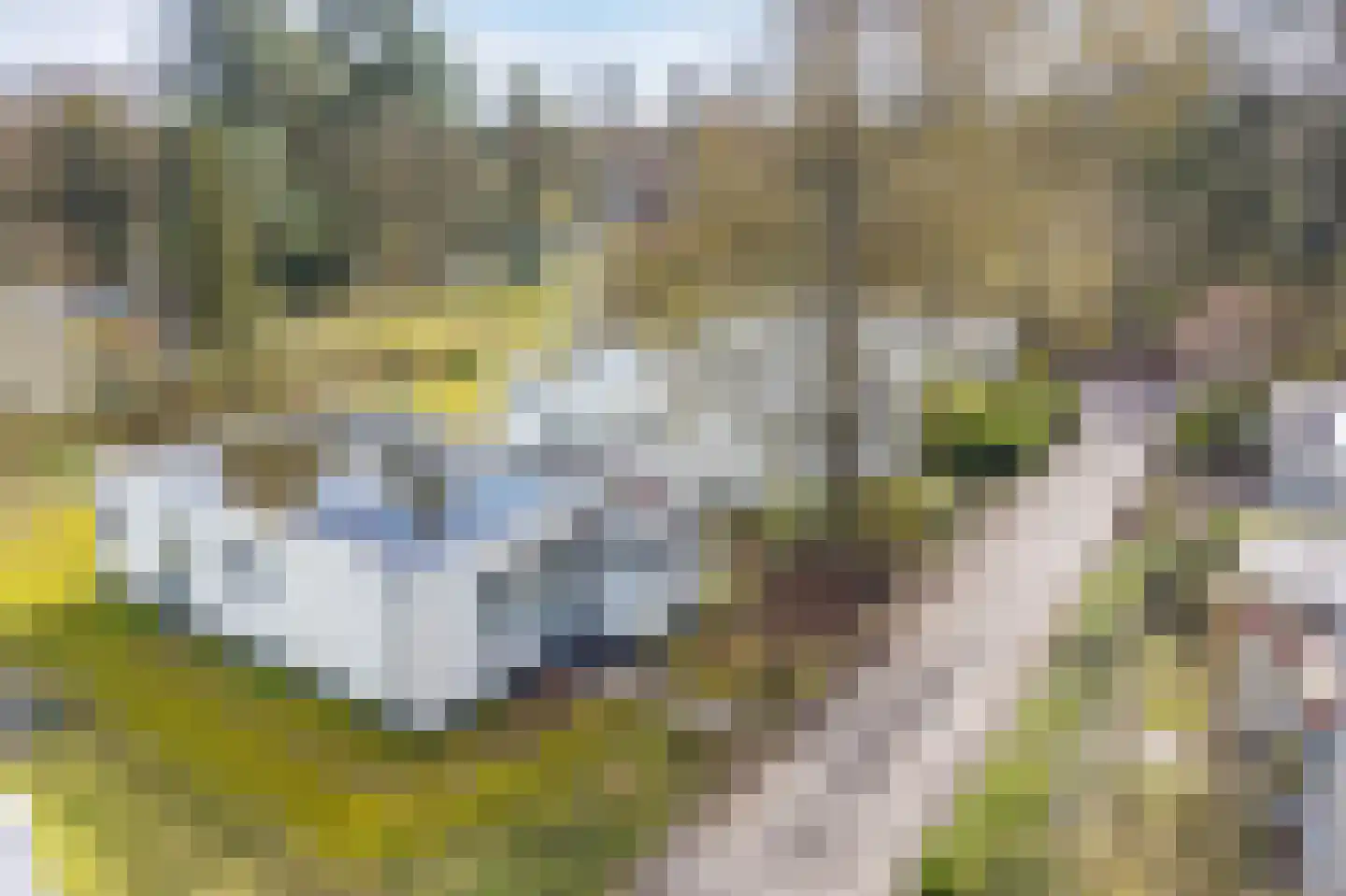 Duivenslaagte 2 052 De Bult