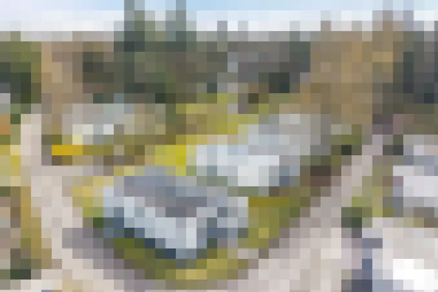 Duivenslaagte 2 052 De Bult thumbnail 24