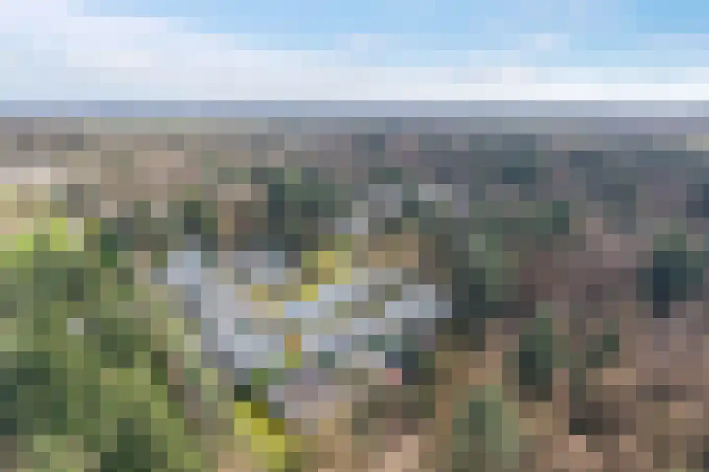 Duivenslaagte 2 052 De Bult thumbnail 28