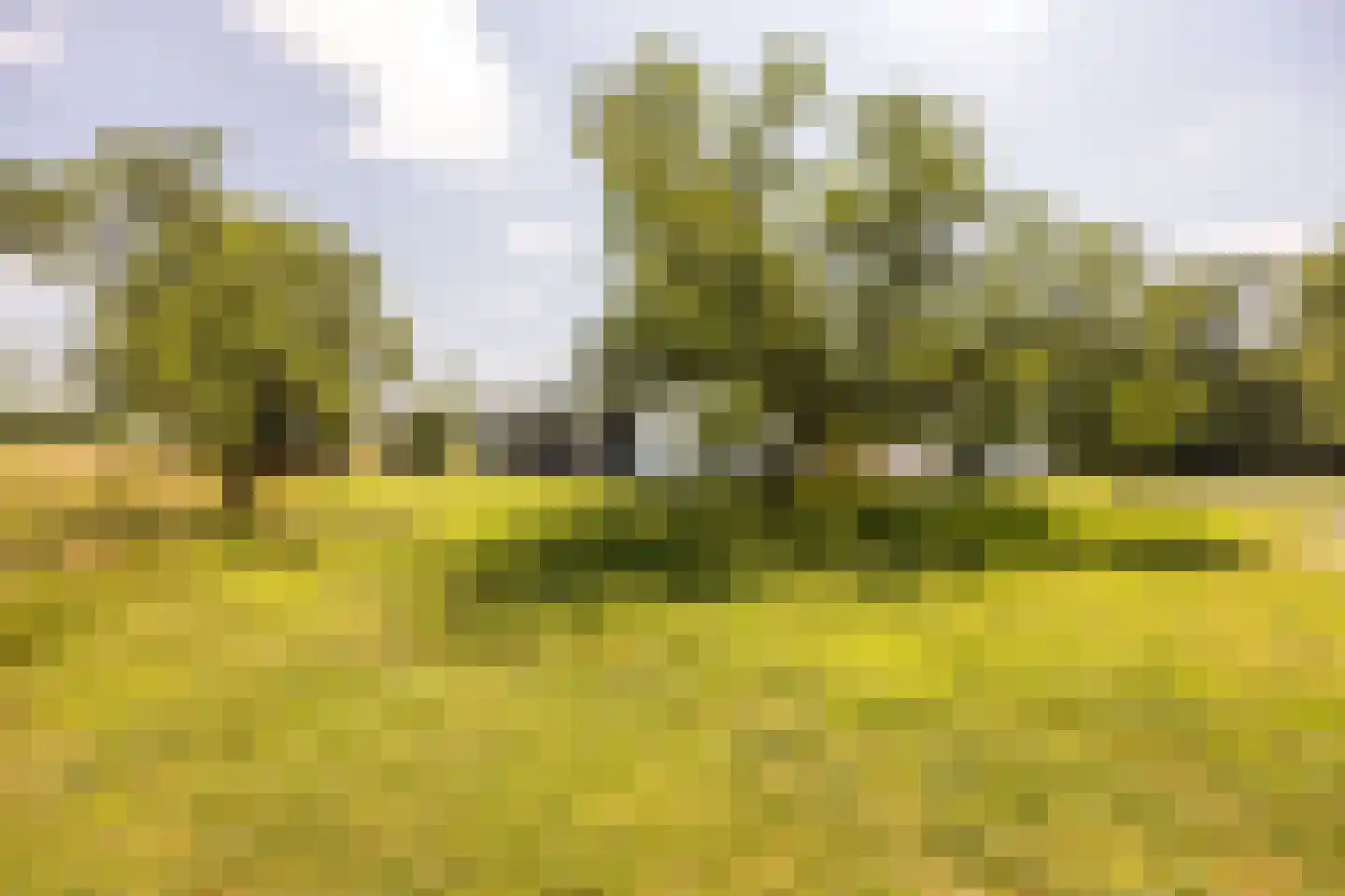 Duivenslaagte 4 De Bult thumbnail 10