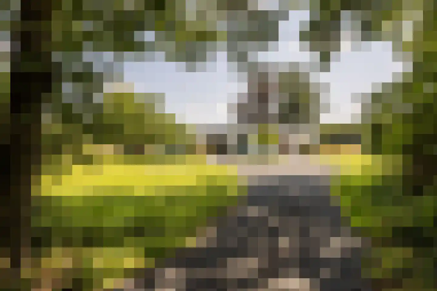 Duivenslaagte 4 De Bult thumbnail 12