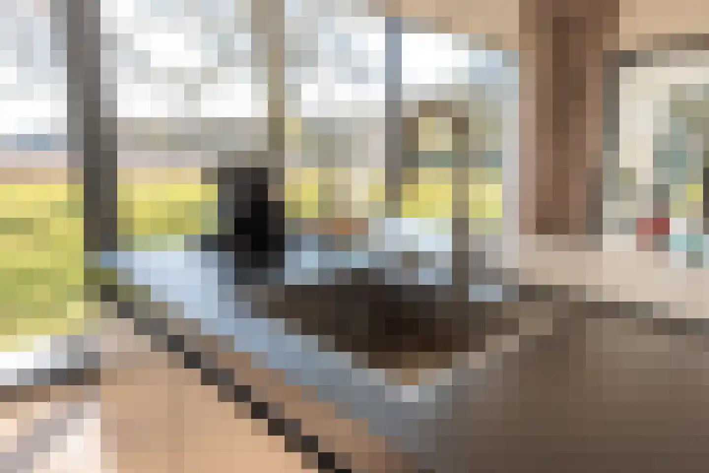 Duivenslaagte 4 De Bult thumbnail 17