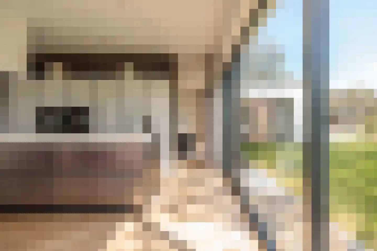 Duivenslaagte 4 De Bult thumbnail 19