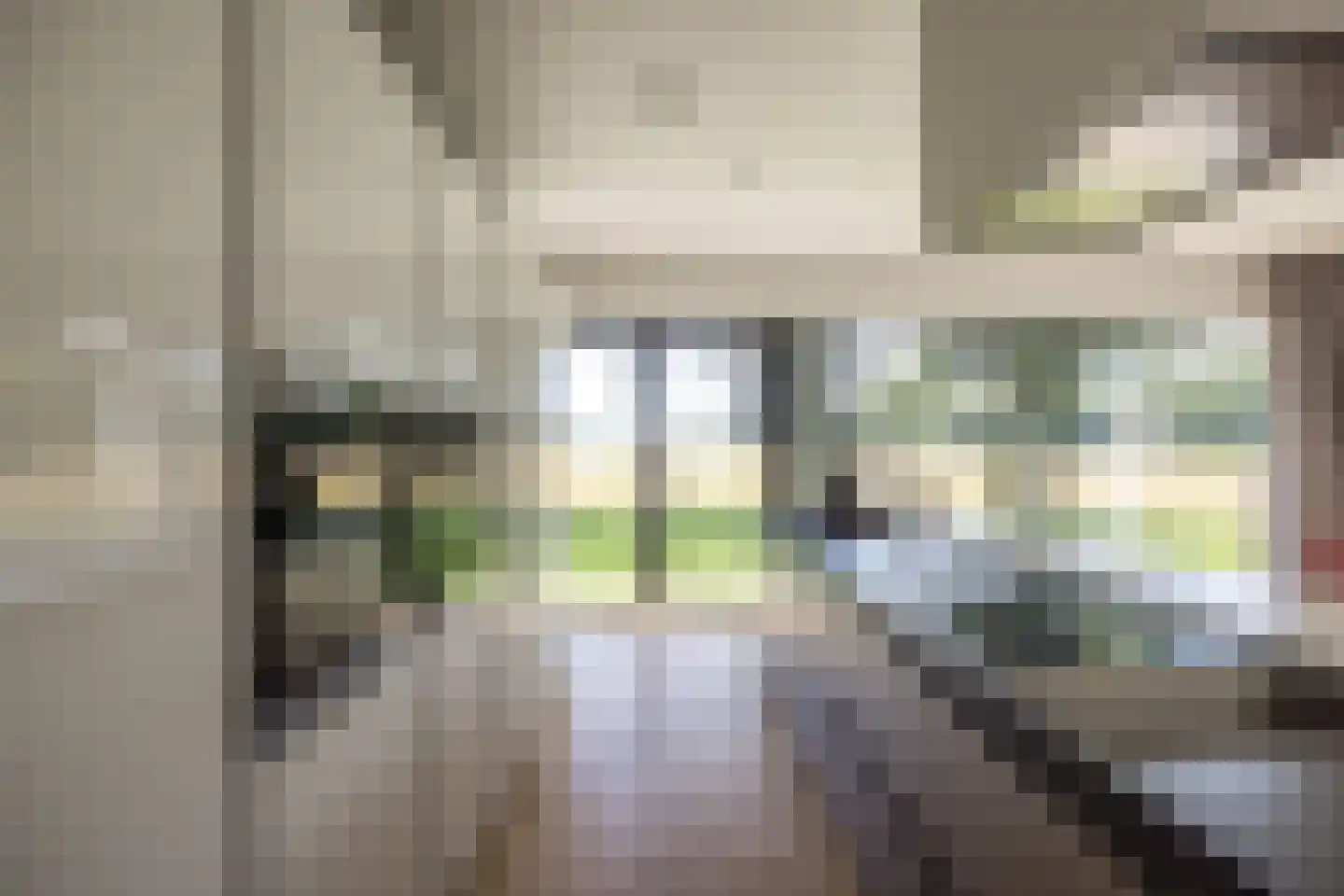 Duivenslaagte 4 De Bult thumbnail 19