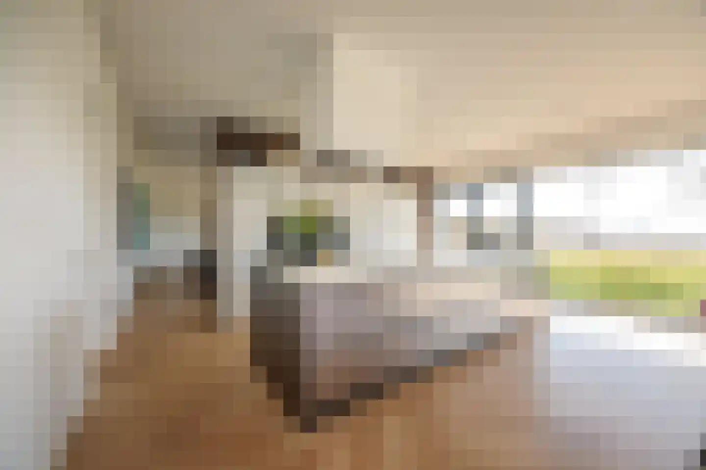 Duivenslaagte 4 De Bult thumbnail 22