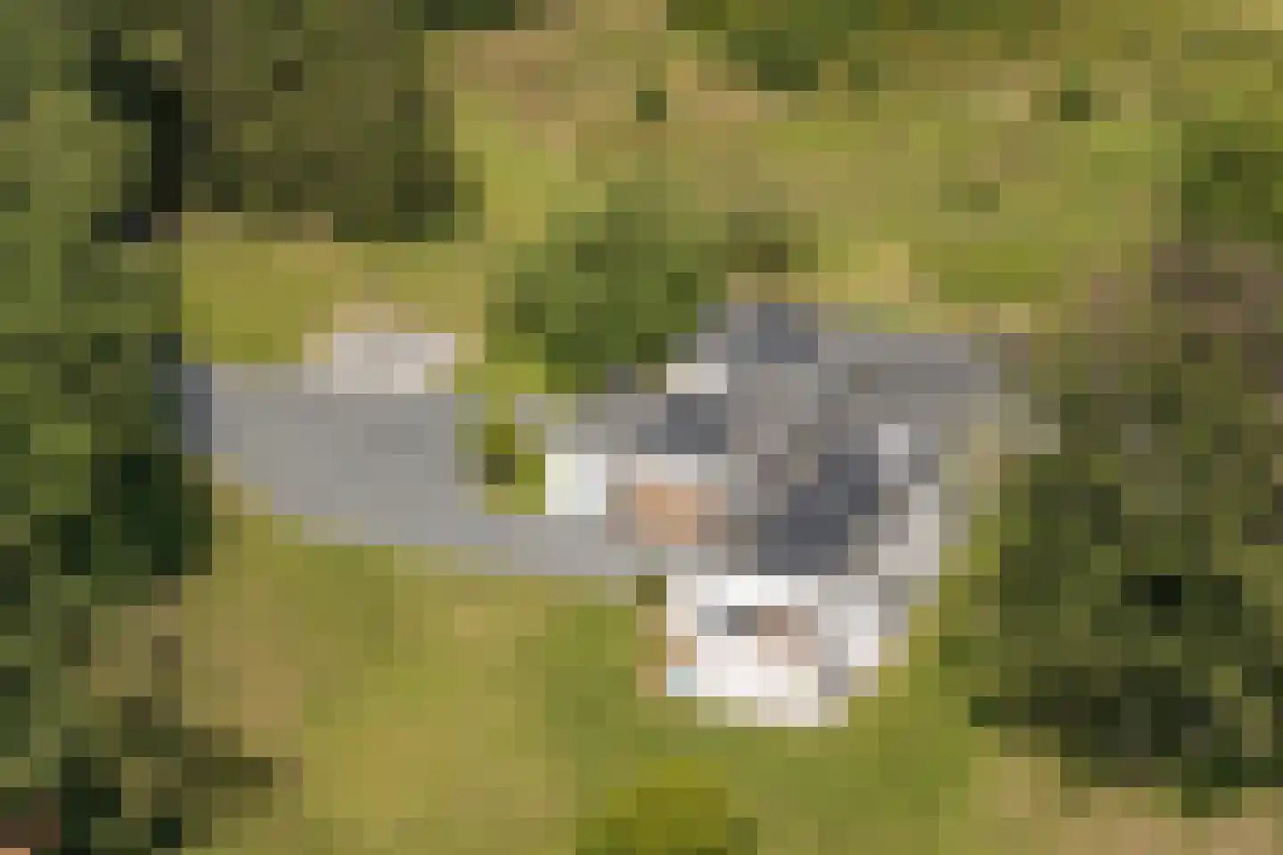Duivenslaagte 4 De Bult foto 3