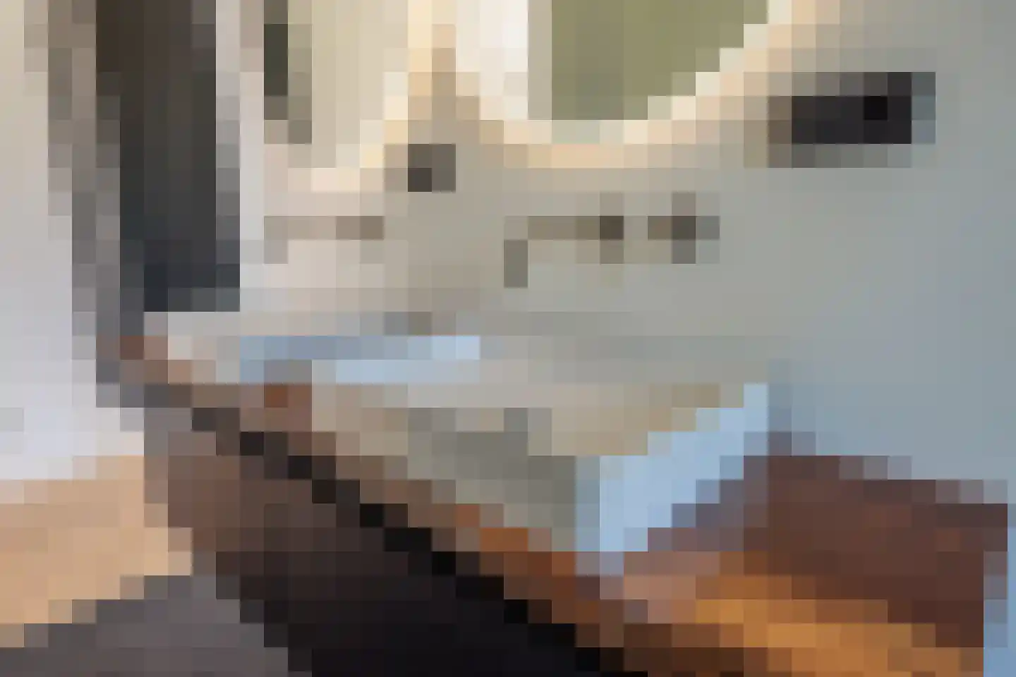 Duivenslaagte 4 De Bult thumbnail 30