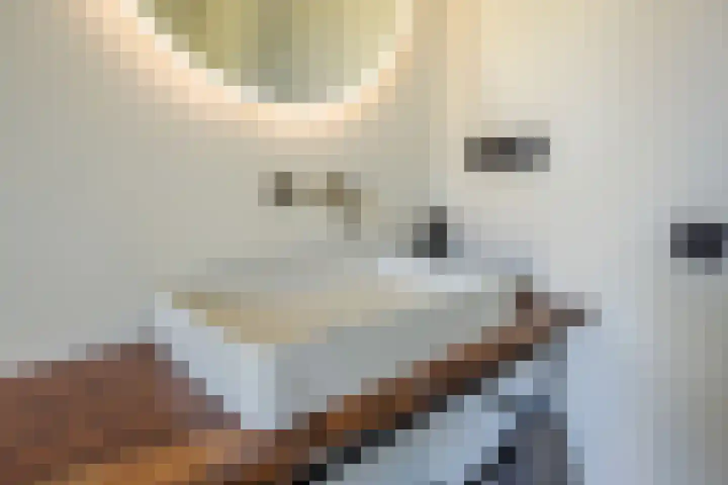 Duivenslaagte 4 De Bult thumbnail 36