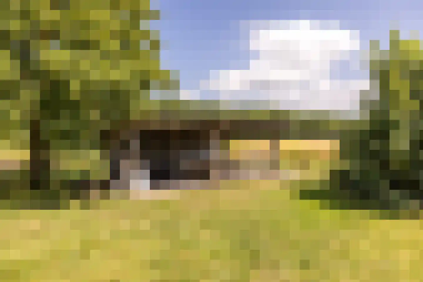 Duivenslaagte 4 De Bult thumbnail 40