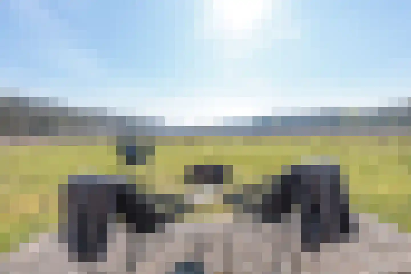 Duivenslaagte 4 De Bult thumbnail 41