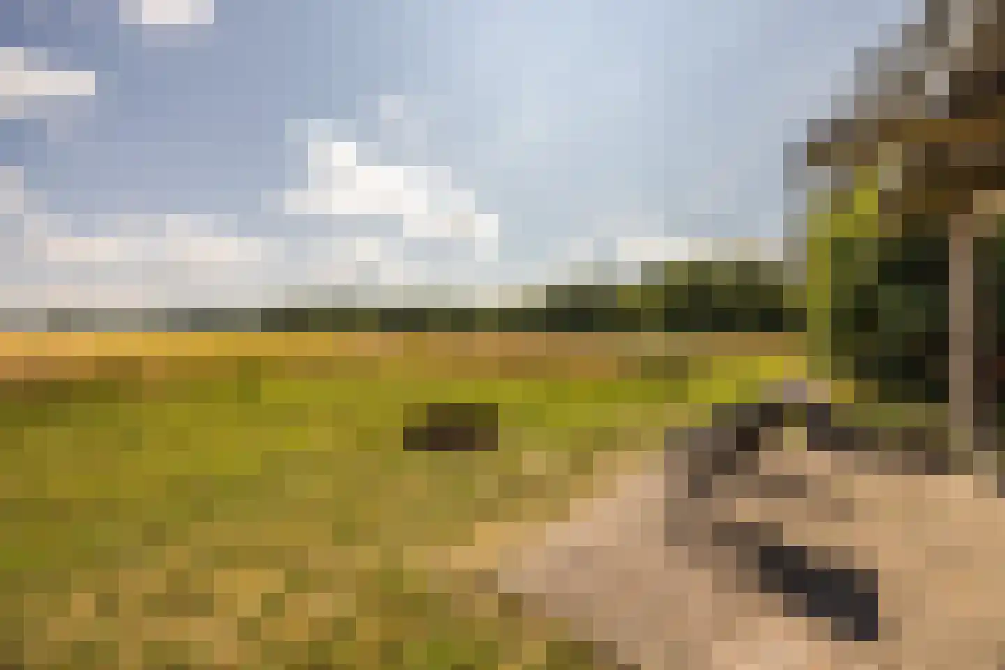 Duivenslaagte 4 De Bult thumbnail 41