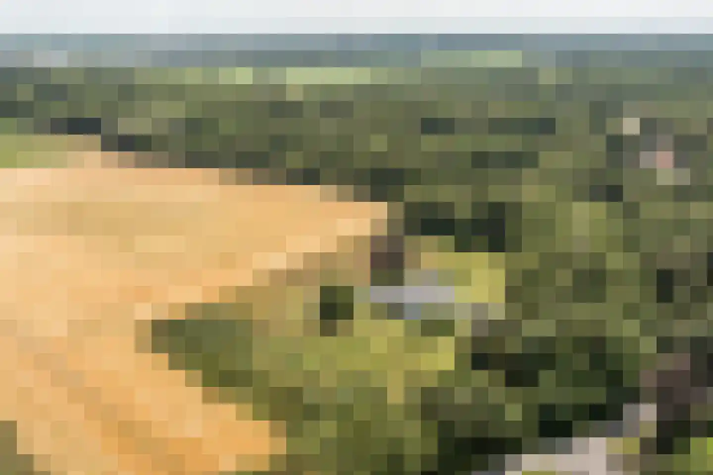 Duivenslaagte 4 De Bult thumbnail 42