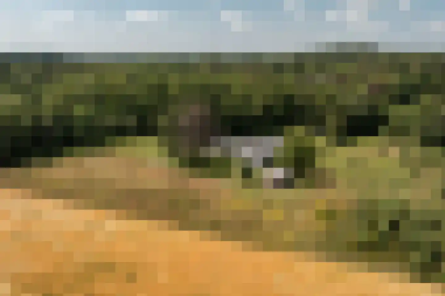 Duivenslaagte 4 De Bult thumbnail 43