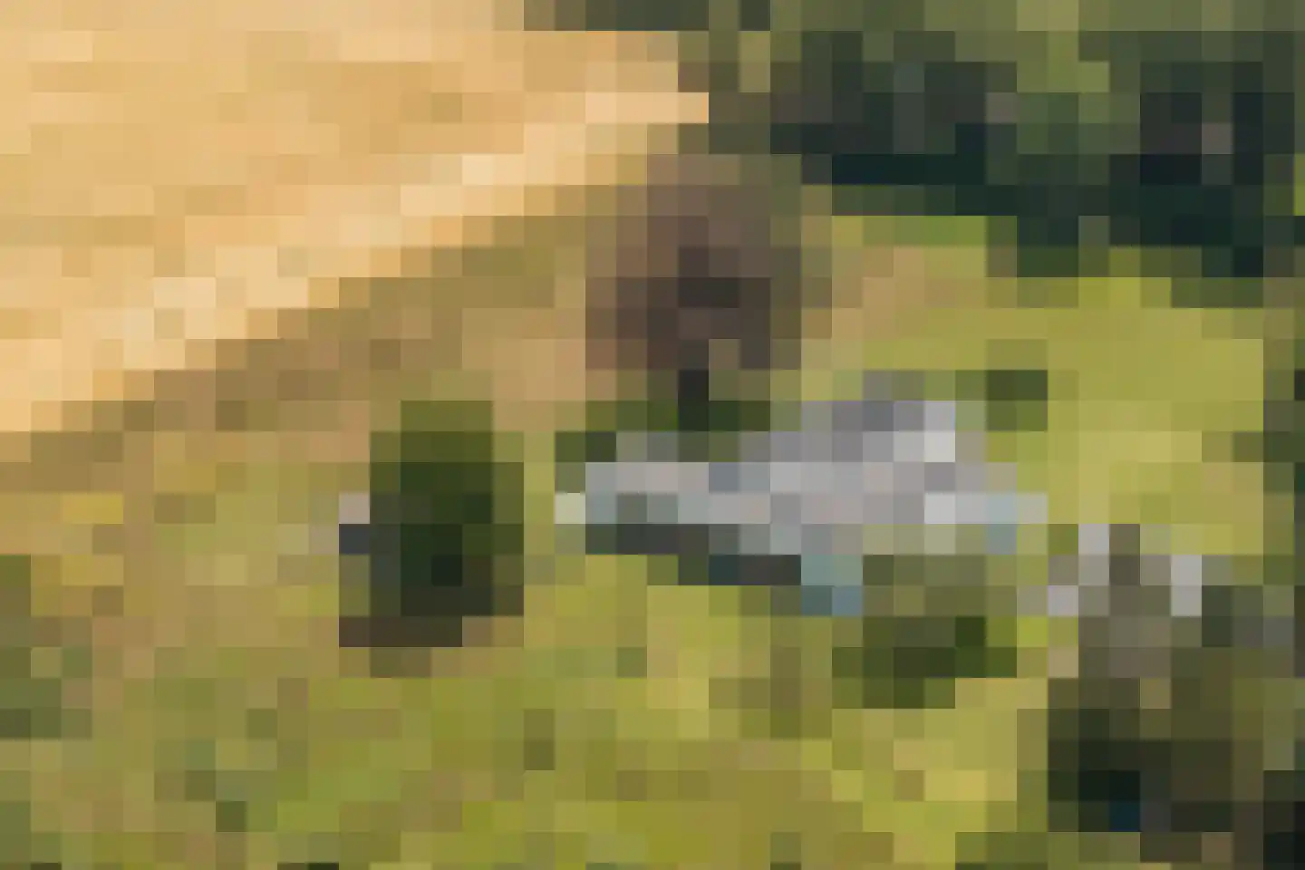 Duivenslaagte 4 De Bult thumbnail 44