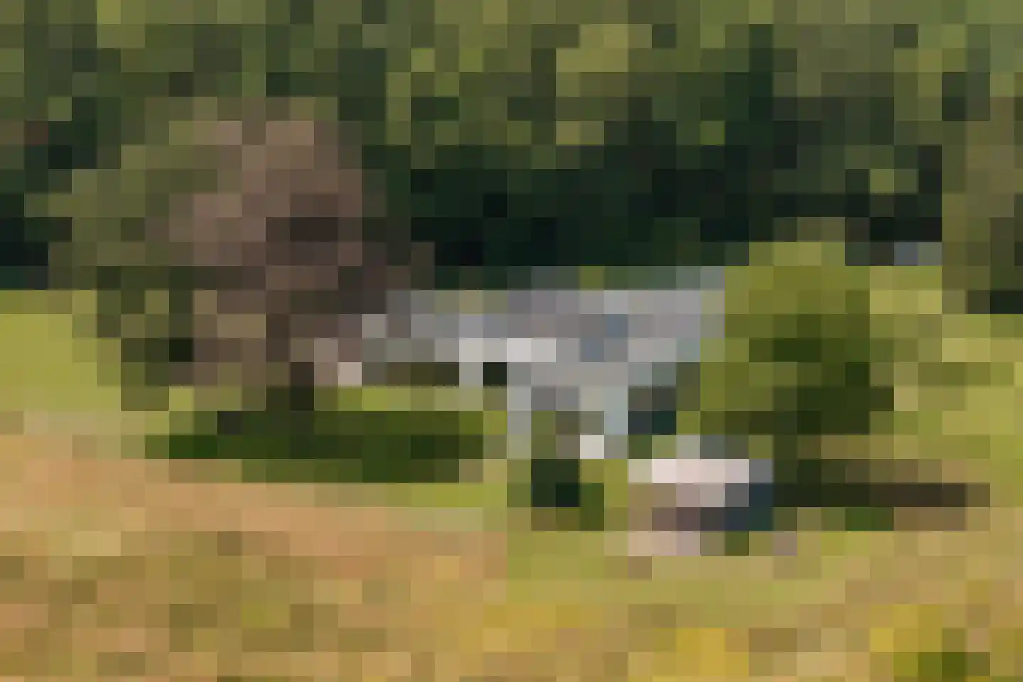 Duivenslaagte 4 De Bult thumbnail 45