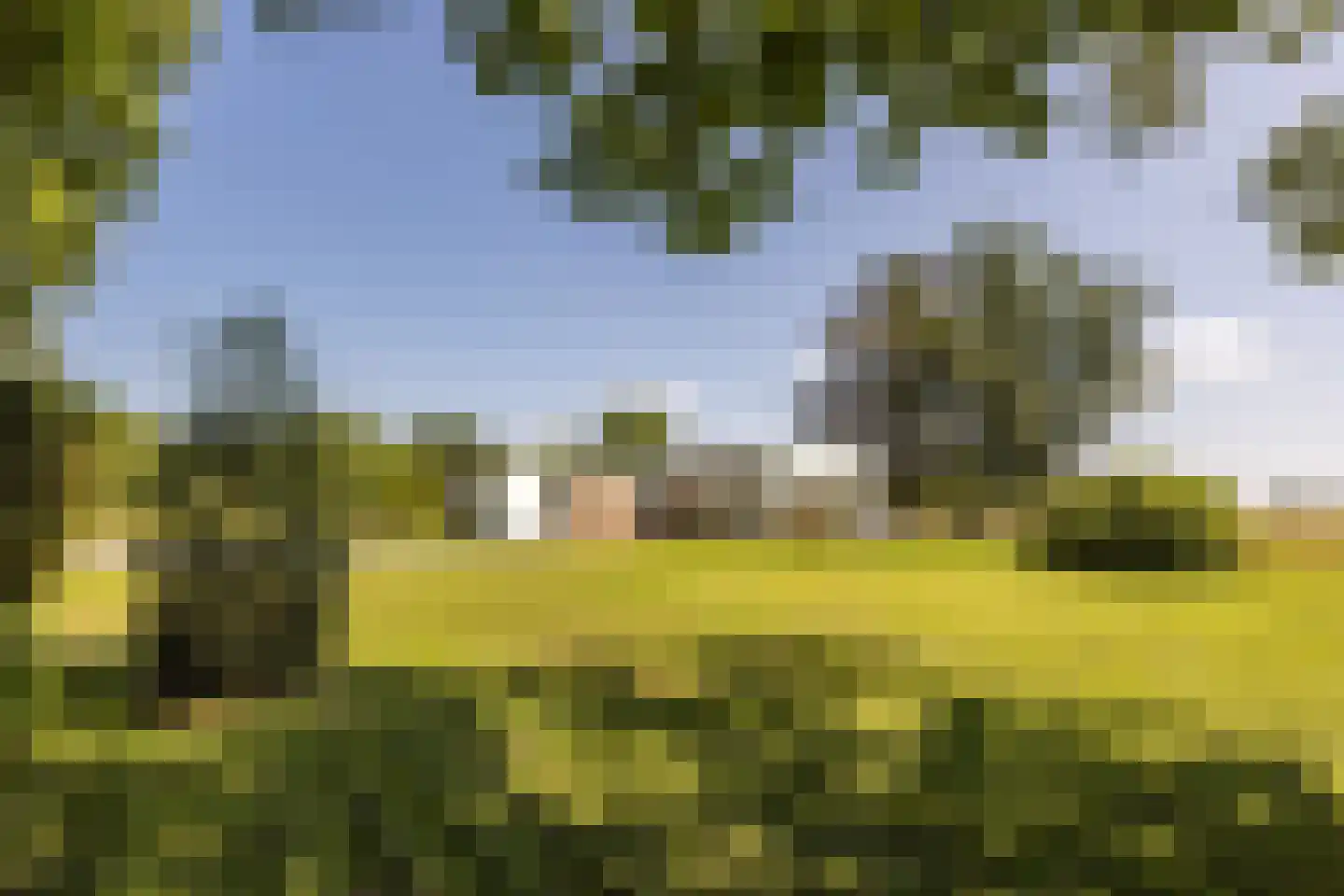 Duivenslaagte 4 De Bult thumbnail 46