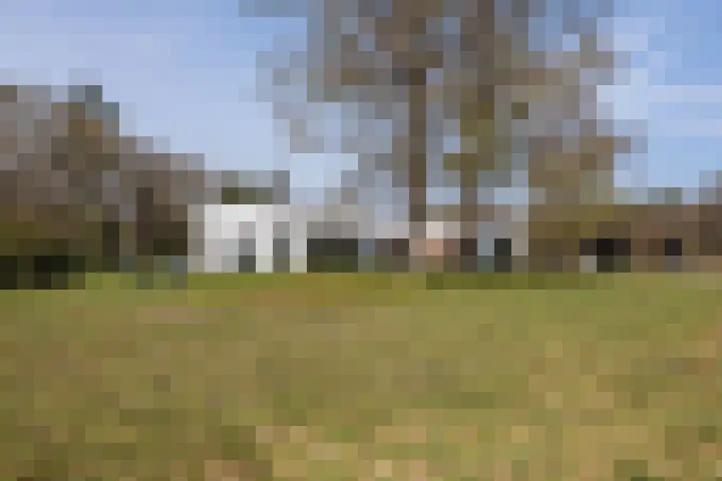 Duivenslaagte 4 De Bult thumbnail 5