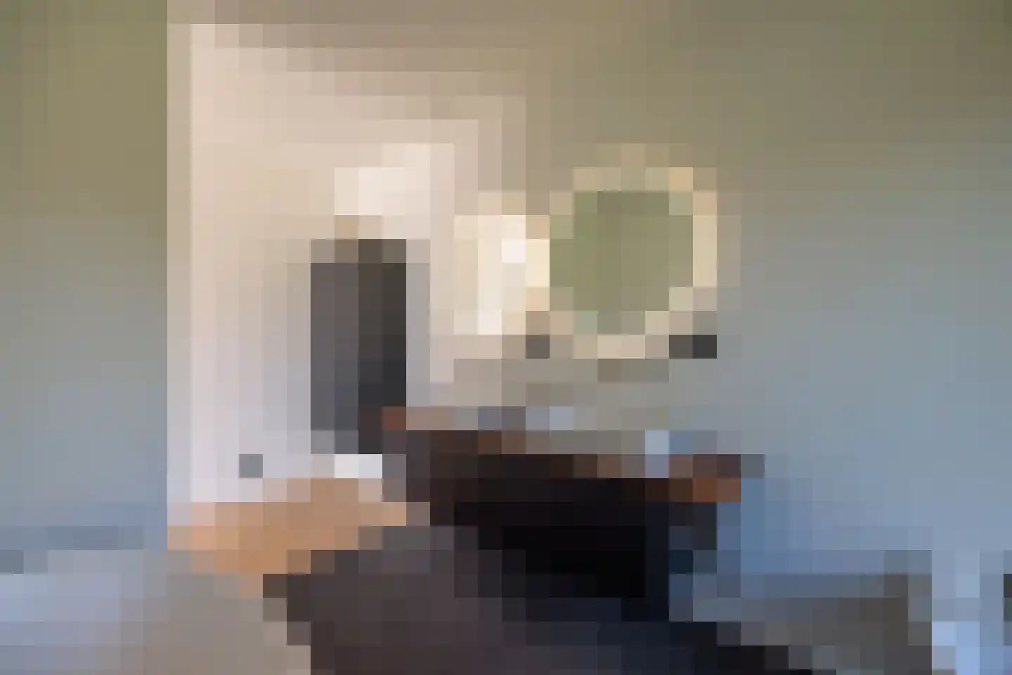 Duivenslaagte 4 De Bult thumbnail 51
