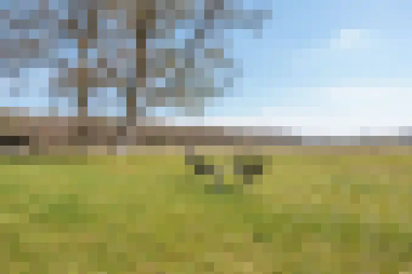 Duivenslaagte 4 De Bult thumbnail 64
