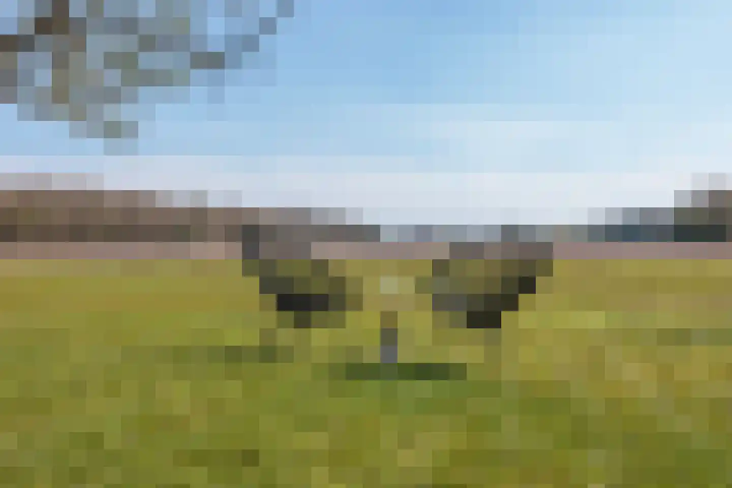 Duivenslaagte 4 De Bult thumbnail 65