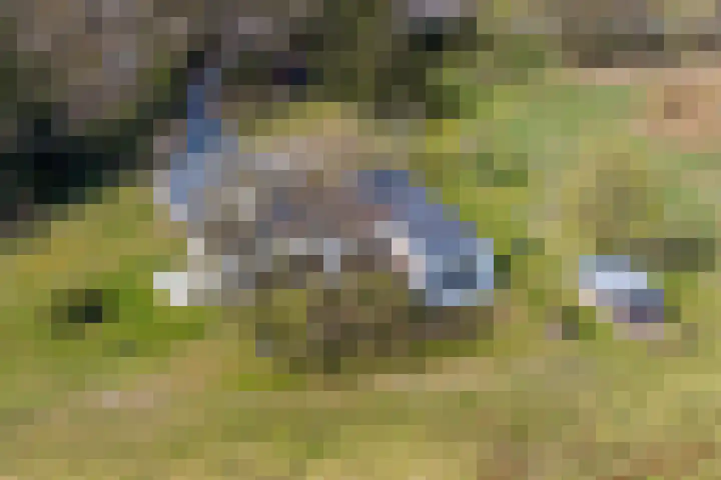 Duivenslaagte 4 De Bult thumbnail 69