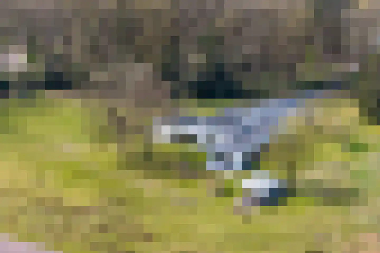 Duivenslaagte 4 De Bult thumbnail 71