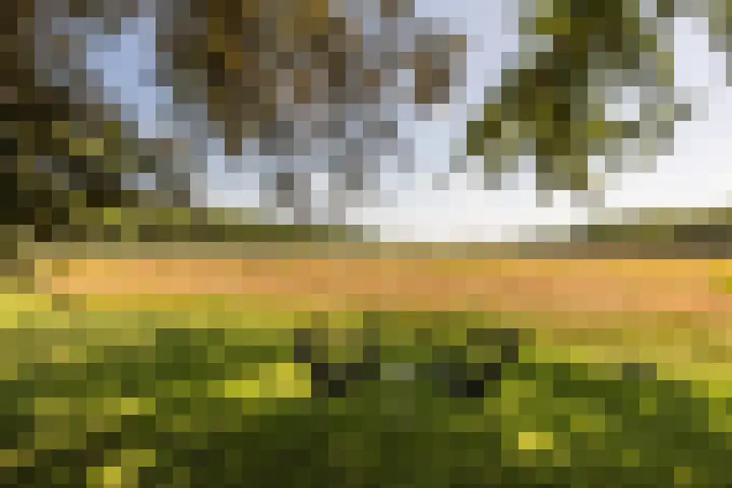 Duivenslaagte 4 De Bult thumbnail 9