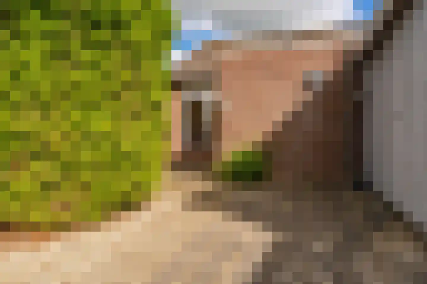 Duivenslag 11 Delfzijl thumbnail 18