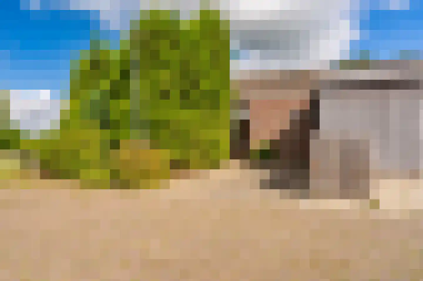 Duivenslag 11 Delfzijl thumbnail 20
