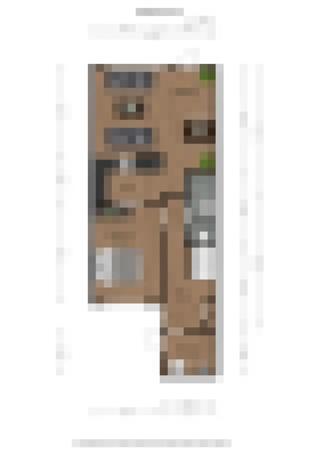 Duivenslag 11 Delfzijl thumbnail 22