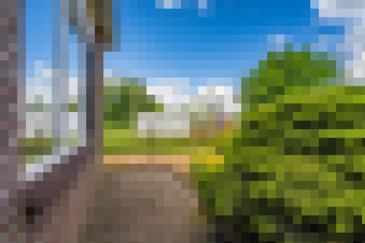 Duivenslag 11 Delfzijl thumbnail 6