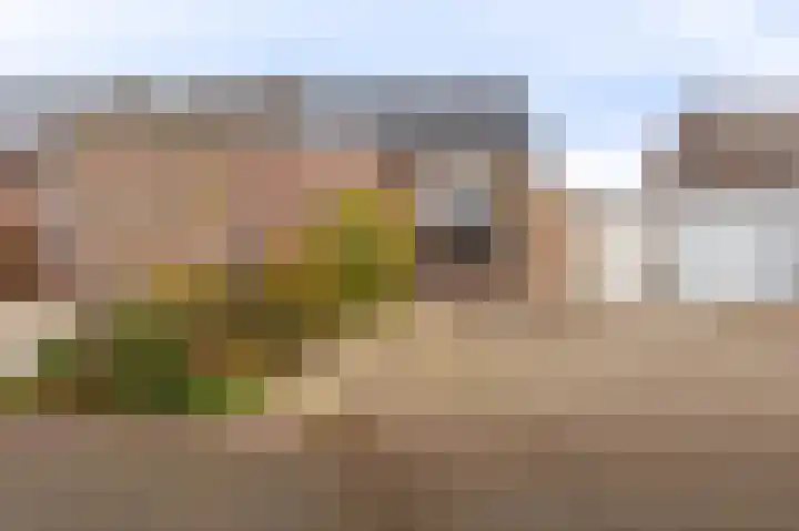 Duivenslag 17 Delfzijl thumbnail 11