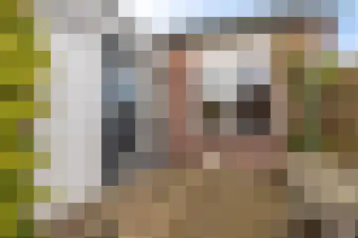 Duivenslag 17 Delfzijl thumbnail 12