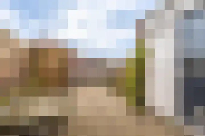 Duivenslag 17 Delfzijl thumbnail 13