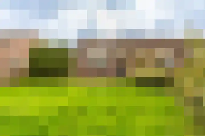 Duivenslag 17 Delfzijl thumbnail 14